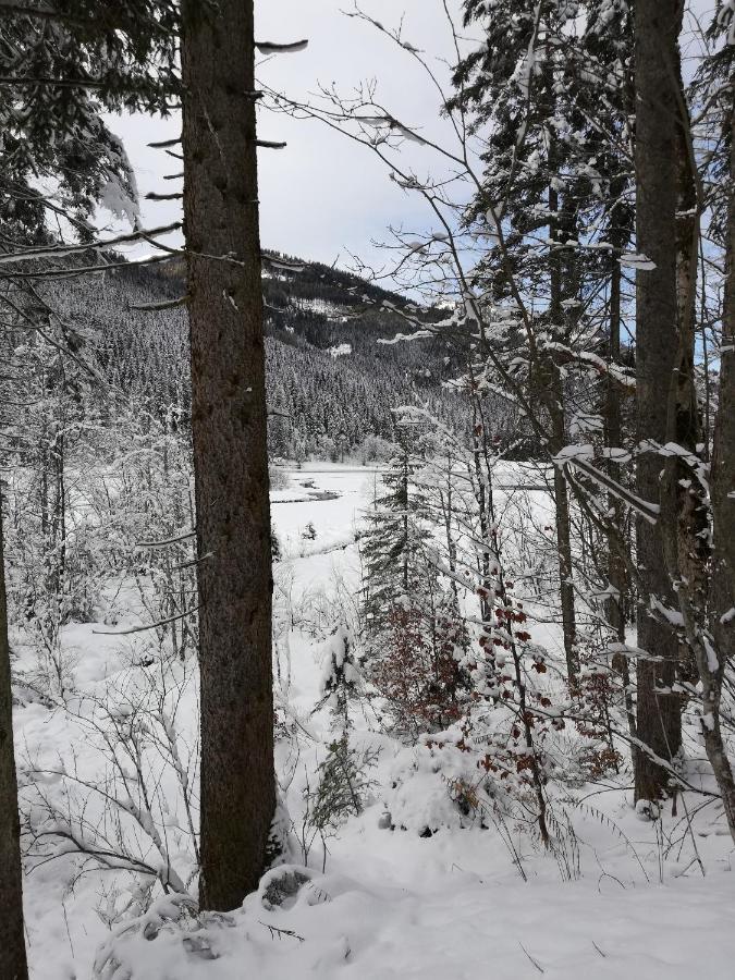 Brigitte Bed & Breakfast Flachau